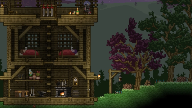 Starbound 3