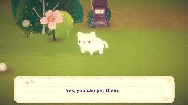 MinekosNightMarket petcats