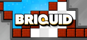 Briquid Box Art