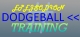 EPEJSODION Dodgeball Training Box Art