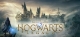 Hogwarts Legacy Box Art