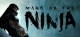 Mark of the Ninja Box Art