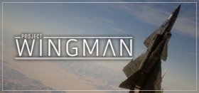 Project Wingman Box Art