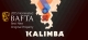 Kalimba Box Art