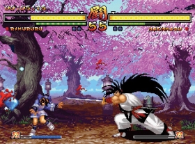 Samurai Shodown Anthology Box Art