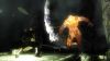 demons-souls-screen-8.jpg