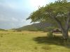 Jambo!_Safari-Nintendo_WiiScreenshots17520screenshot_035.jpg