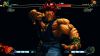 Street_Fighter_IV-1_(28).jpg